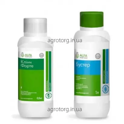 Клинч Форте