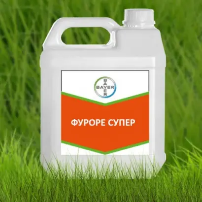 Фуроре СуперEW,ЕВ