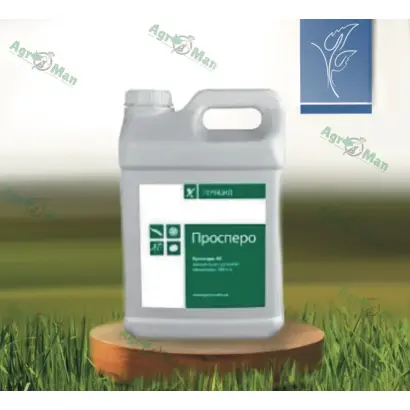 Проспер, СЕ