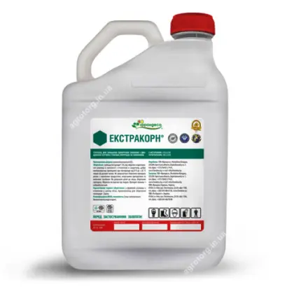 Екстракорн, СЕ