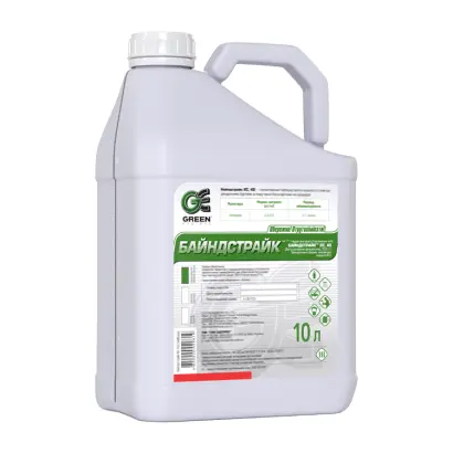 БАЙНДСТРАЙК ЭС