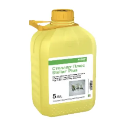Стеллар Плюс