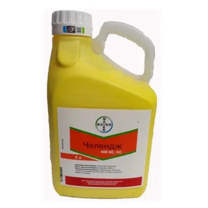 Челендж 600 SC