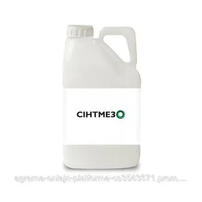 Сінтмезо SE, СЕ