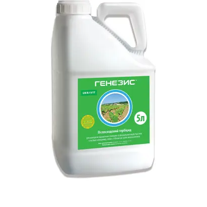 Генезис, РК