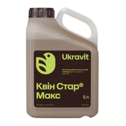 Квін Стар Макс