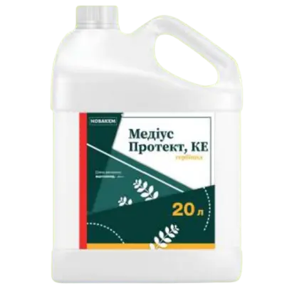 Медіус Протект