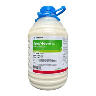 Пріма Форте, СЕ