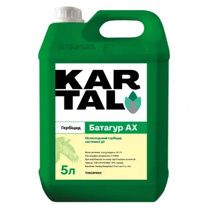 Батагур АХ, КС