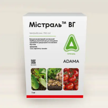 Містраль ТОП, КС