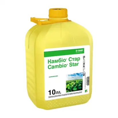 Камбіо Стар