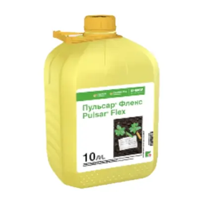 Пульсар Флекс
