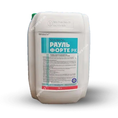 Рауль Форте