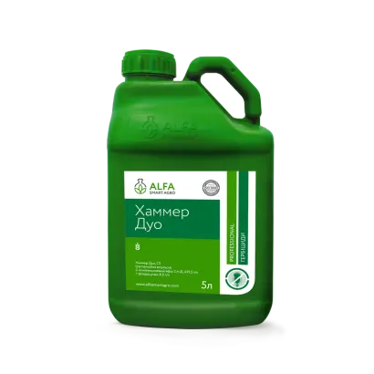 Хаммер Дуо, СЕ