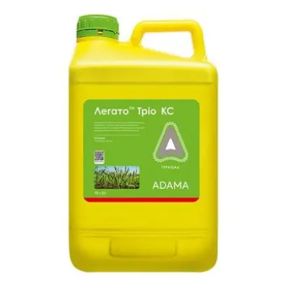 Легато Тріо КС