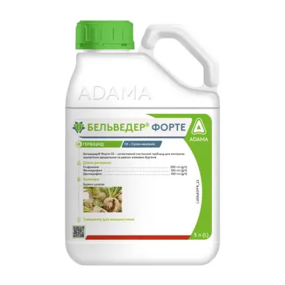 Бельведер Форте СЕ