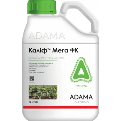 Каліф Мега ФК