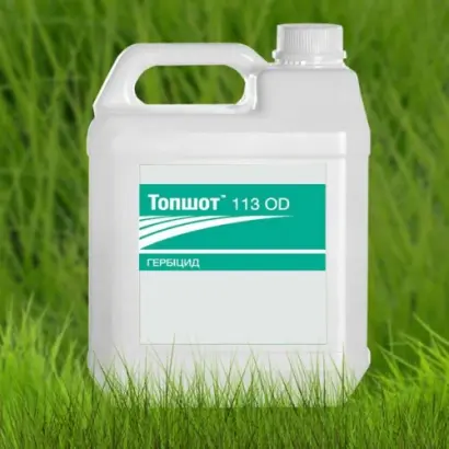 Топшот 113 OD