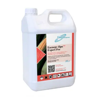 Експерт Про, МД / Expert Pro, OD