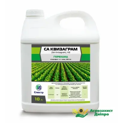 СА Квизаграм