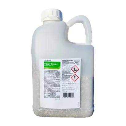 Кордус Флекс