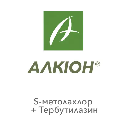 Алкіон (Alcyon)