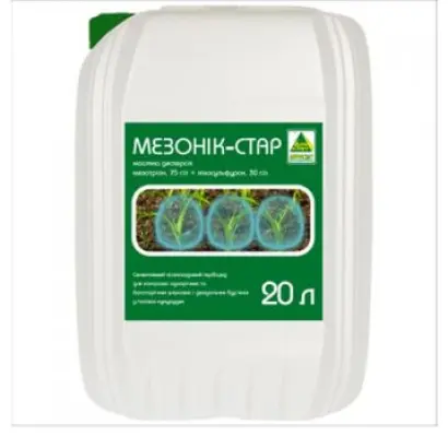 Мезонік-Стар