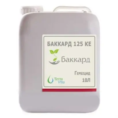 Баккард 125 КЕ