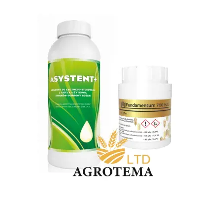 Фундаментум 700