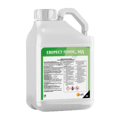 Еверест Плюс