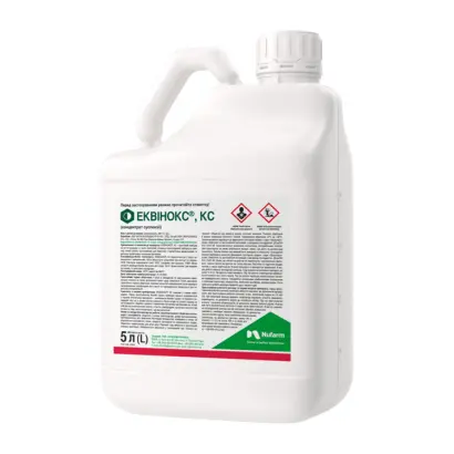 ЕКВІНОКС, КС