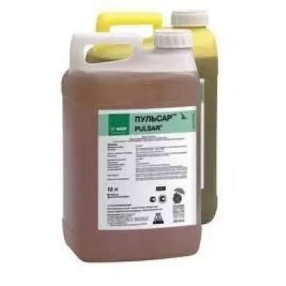 Пульсар 40, в.р