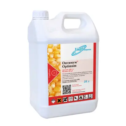 Оптимум в.р.