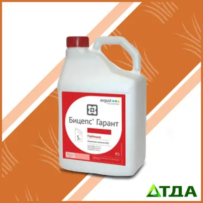 БИЦЕПС ГАРАНТ К.Е.