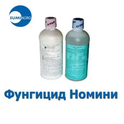 НОМИНИ 400 К.С., + ПАР А-100