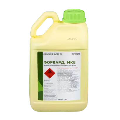 Форвард, мк.е.