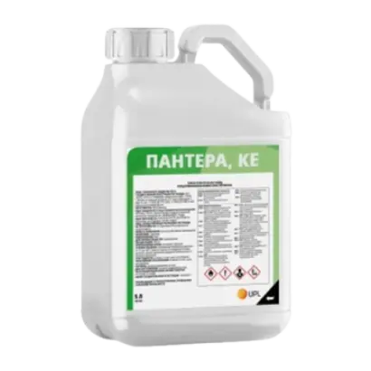 Пантера к.е.