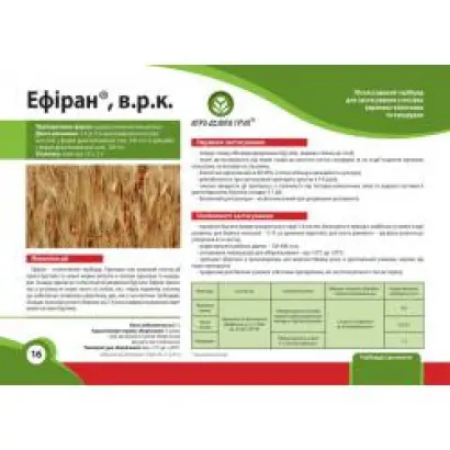 Ефіран в.р.к.