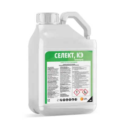 Селект к.е.