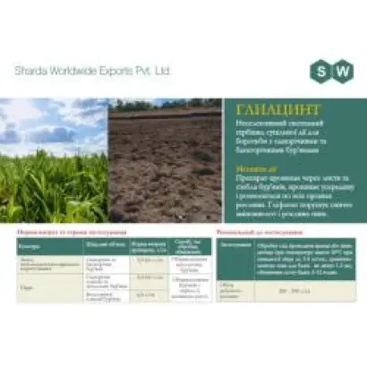 Глиацинт в.р.