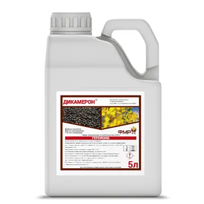 ДИКАМЕРОН В.Р.