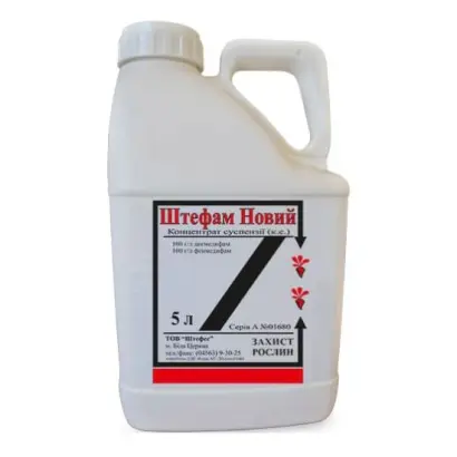 Штефам Новий к.с.