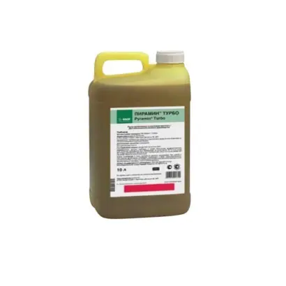 Пірамін Стар к.с.