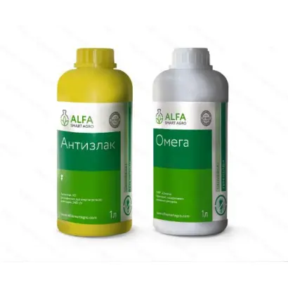 АНТИЗЛАК К.Е.