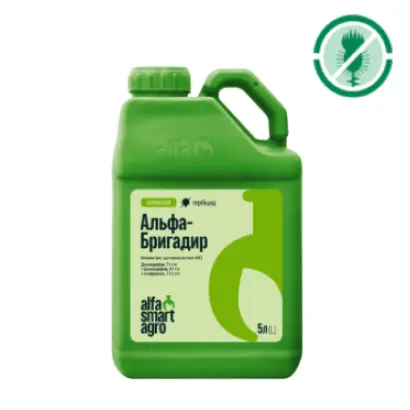 Бригадир к.е.