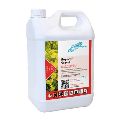 НОРВЕЛ, К.Е.