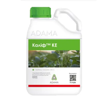 Каліф 480, к.е.