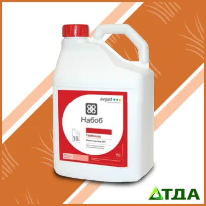 НАБОБ В.Р.К.