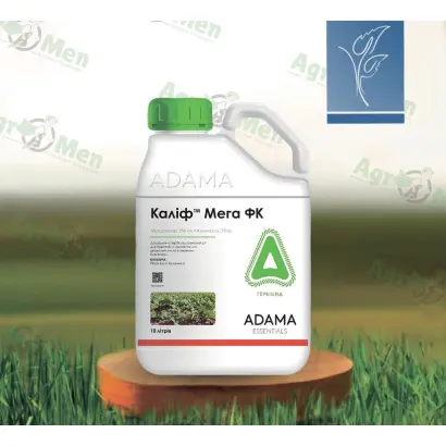 Каліф Мега к.с.