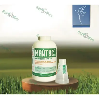 Майтус в.г.